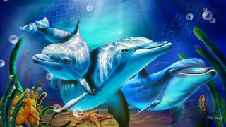 Dolphins swimming ocean starfish corals 2 - digital painting free wallpaper