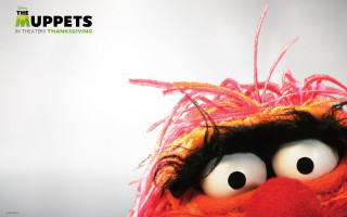 Stuffed animal big eyes red - gritty free wallpaper
