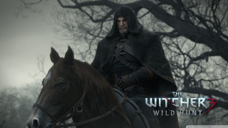 Man hooded outfit horse forest - adam willaerts free wallpaper