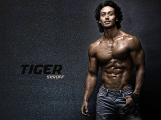 Man shirtless wall tiger logo - a wall free wallpaper