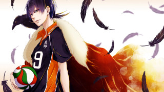 Man bird shoulder holding ball - visual art free wallpaper