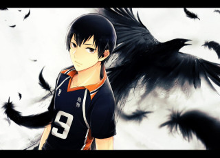 Man black bird shoulder black - his shoulder free wallpaper