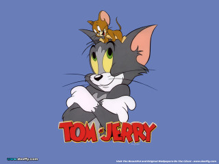 Cartoon character cat on head - a cartoon free wallpaper