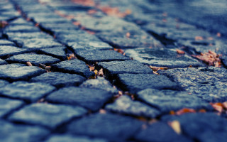 Close up street leaves stop - alberto burri free wallpaper