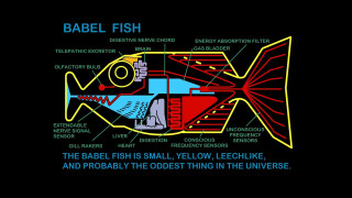Labeled fish body parts description - ascii art free wallpaper