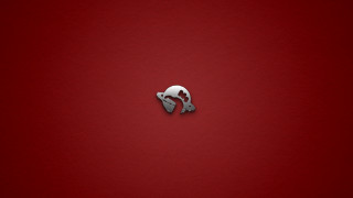 Red background white black cat - cat free wallpaper