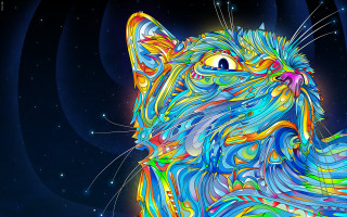 Colorful cat blue background stars 3 - the sky behind free wallpaper