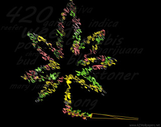Colorful snowflake black background words - altichiero free wallpaper