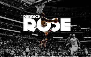 Derrick rose dunking basketball crowd - the stand behind free wallpaper