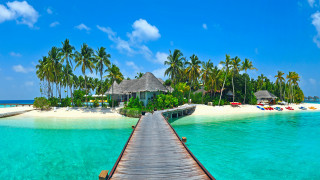 Wooden dock beach palm trees 2 - palm tree and a hut free wallpaper