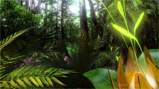Tropical forest bird fern digital - tropical free wallpaper