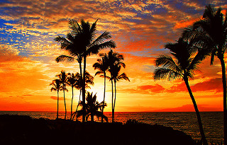Sunset palm trees beach boat - a surfboard free wallpaper