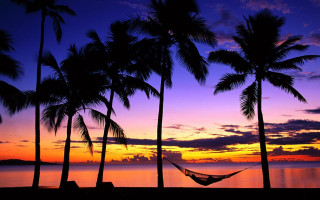Hammock palm trees beach sunset 2 - palm tree free wallpaper