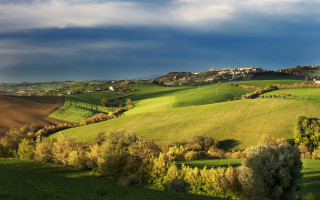 Green field trees clouds town - correggio free wallpaper