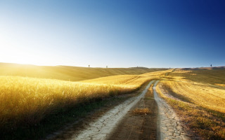 Dirt road field sun bright - a dirt road in a field free wallpaper
