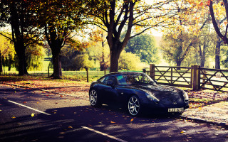 Black sports car autumn fence - a fence and trees free wallpaper