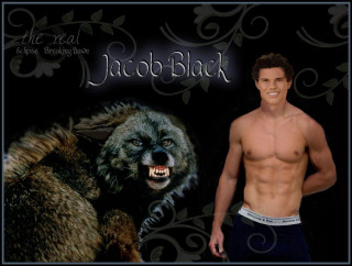 Man wolf face wolf image - dark shadow free wallpaper