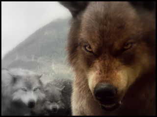Wolf mountain scene composite image - caspar wolf free wallpaper