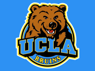 Bear head ucla u c - the middle of the image free wallpaper