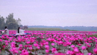 Boat flowers house people field - two person free wallpaper