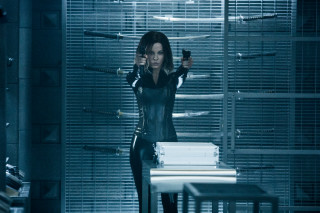 Woman black leather gun room - a gun in a room free wallpaper