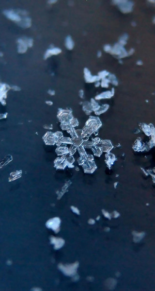 Snowflake black surface water droplets - free rain wallpaper