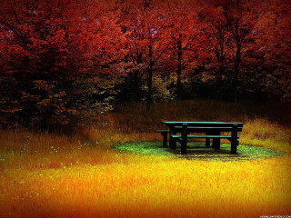 Bench field trees red sky 2 - a red sky in the background free wallpaper
