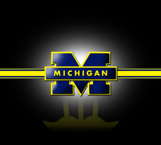Michigan logo yellow blue stripe - derek hill free wallpaper