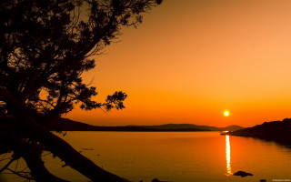 Sunset lake tree foreground boat - a sunset over a lake free wallpaper