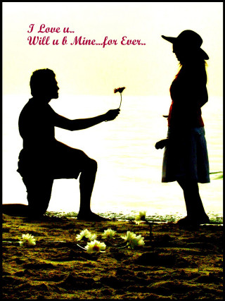 Man kneeling woman flower message - romantic free wallpaper