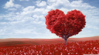 Heart shaped tree field flowers 5 - a blue sky background free wallpaper