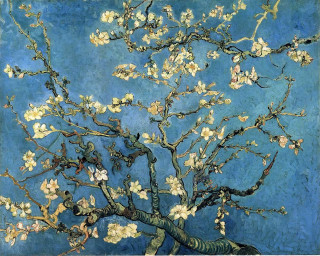 Tree white flowers blue background 3 - postimpressionism free wallpaper