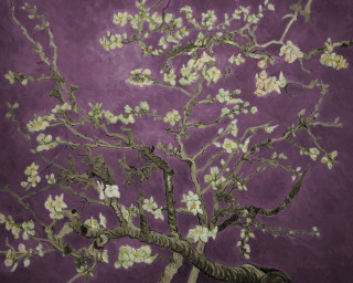 White flowers purple background plant - blanche hoschedé monet free wallpaper