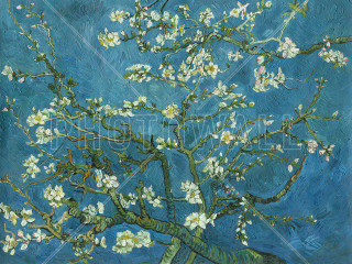 Tree whiteflowers ocean leaf blanchehoschedé - a green object free wallpaper