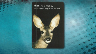 Deer what has eyes image - a caption free wallpaper