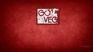 Red wall white square go - a white square free wallpaper