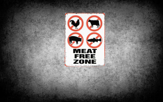 Meat free zone cow galaxy - sticker free wallpaper