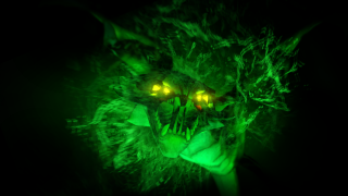 Green cat glowing eyes glowing - its eye free wallpaper