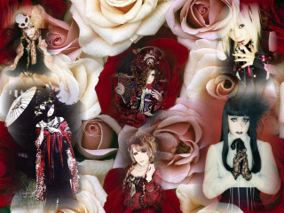 Woman roses skeleton collage chest - a skeleton free wallpaper
