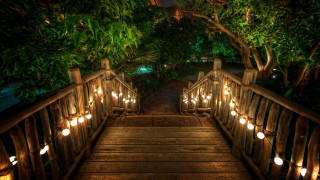 Wooden bridge lights trees background - atmospheric lighting free wallpaper