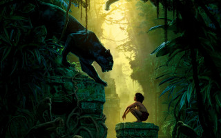 Woman sitting rock jungle cat - drew struzan free wallpaper