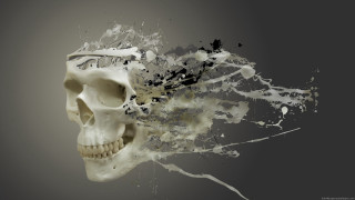 Skull paint splash black background - digital painting free wallpaper