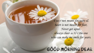 Cup of tea with daisy - naive free wallpaper