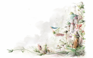 Bird flowers white background text - a place free wallpaper