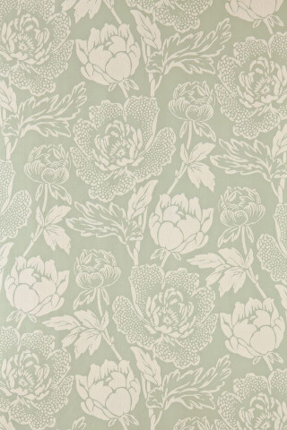 Green white floral wallpaper white - white flower free wallpaper