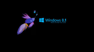 Colorful bird flying windows8 logo 3 - lostfish free wallpaper