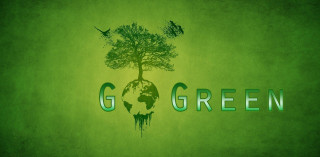 Green background tree globe g - a bird free wallpaper for desktop