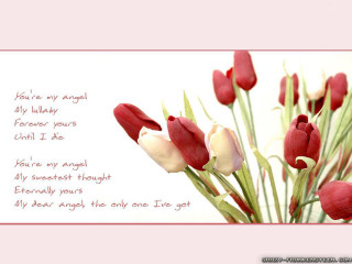 Bouquet red white flowers poem - a bouquet free wallpaper