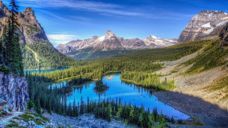 Mountain lake trees background blue - tree and mountains free wallpaper