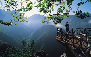 Man bridge valley mountains tree - flavia bloi free wallpaper